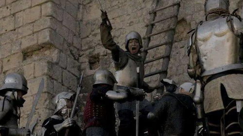 联姻，文化、历史与现代视角下的家族联盟