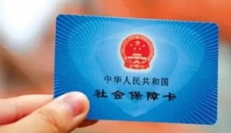 上海社保卡余额查询，如何轻松掌握您的社会保障信息