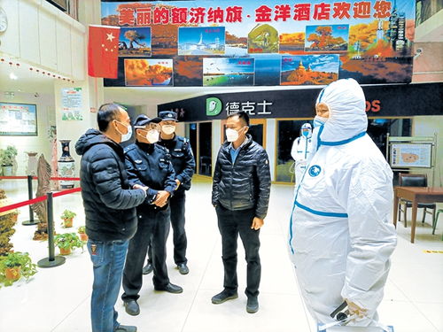 疫情新动态，31省区市新增3例本土确诊的深度解析与防控策略