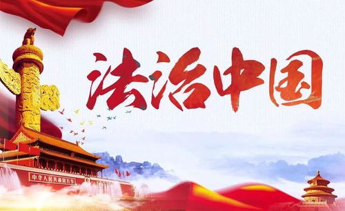 常回家看看，法律与情感的交汇点