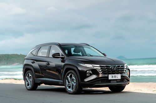 五天几年，时间的魔法与生活的节奏