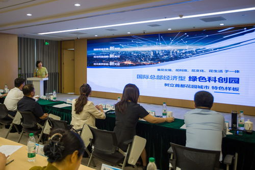 丰台区副区长，城市发展的推动者与社区服务的守护者