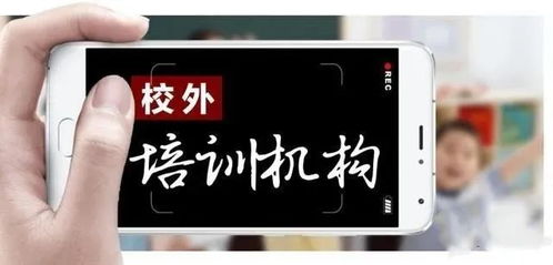 个人独资企业税收指南，理解、规划与优化