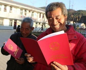 山东农村养老保险，为农民的金色晚年保驾护航