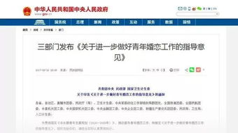 揭秘婚介服务，收费标准背后的真相与合理性