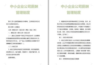 探究工资薪金制度，公平与激励的平衡艺术