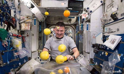 失重餐厅的惊魂一刻，玻璃砸人事件的警示与反思