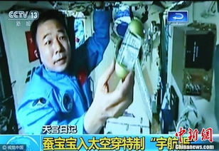 失重餐厅的惊魂一刻，玻璃砸人事件的警示与反思