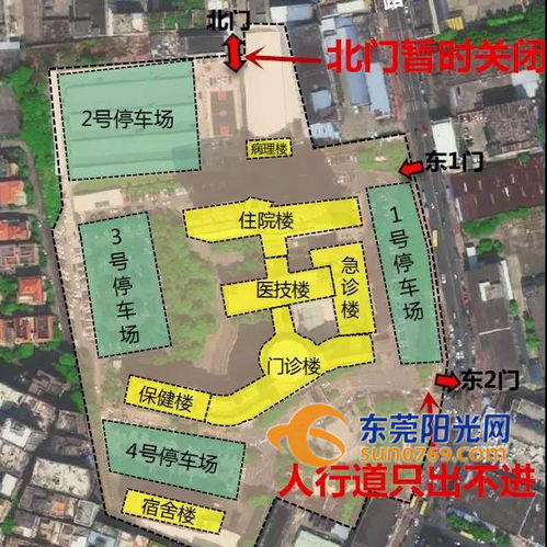 东莞疫情最新动态，共同守护我们的城市