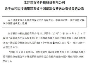 深入理解所得税审计，保护您的财务安全