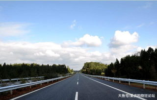 清明节出行指南，高速公路免费政策及出行建议