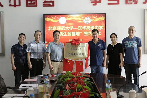 深圳市交委官网，城市交通管理的智慧之窗