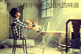 安元鼎事件，权力与道德的较量