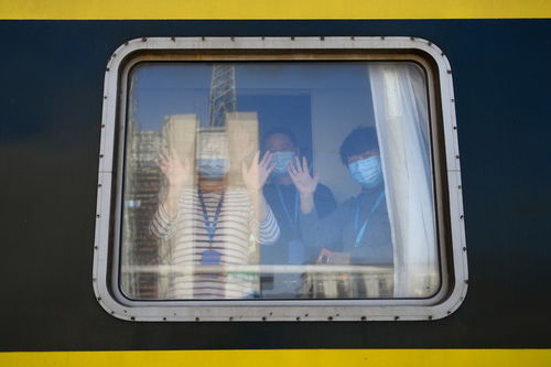 额济纳旗疫情新动态，12例新增确诊背后的防控挑战与应对策略