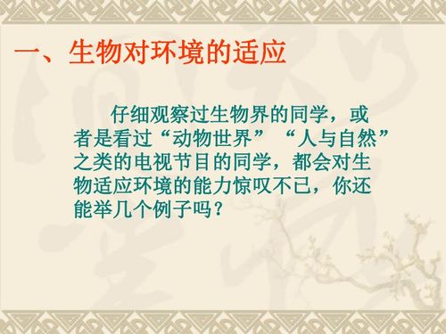 探索家庭出身的多样性，影响与启示