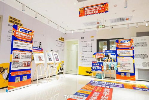 开建材店需要多少钱，打造梦想家园的第一步