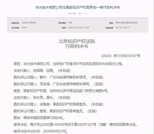 商标驳回复审，企业维权的关键步骤与策略