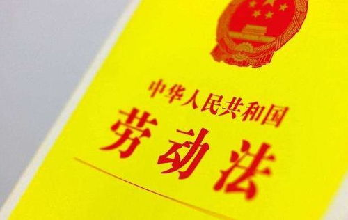 员工福利制度，企业成功的秘诀，员工幸福的源泉