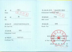 交通部监理工程师报考条件，深入了解与准备指南