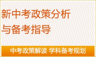 新交规考试，全面解读与备考指南