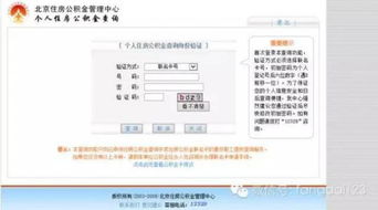 深入了解阿克苏住房公积金查询，指南与实用技巧