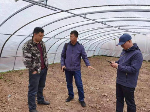 农村城镇化政策，城乡融合的新篇章