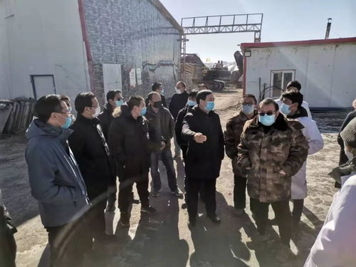 辽宁营口疫情最新动态，深入了解与防控措施