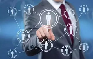 揭开灰色收入的神秘面纱，含义、影响及应对策略