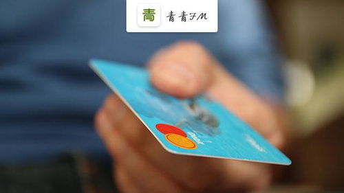 济南信用卡还款，轻松掌握财务自由的艺术