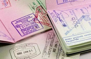 轻松掌握签证办理流程，从准备到获得签证的详细指南