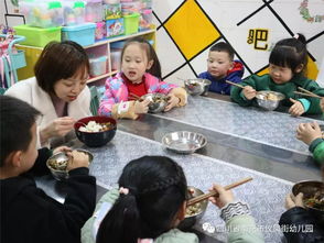 守护餐桌安全，揭秘食品安全法培训的魔法