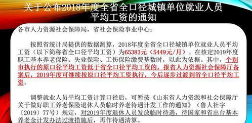 掌握未来，青岛养老保险查询指南