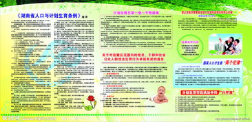 生育新篇章，山东省人口与计划生育条例的现代解读