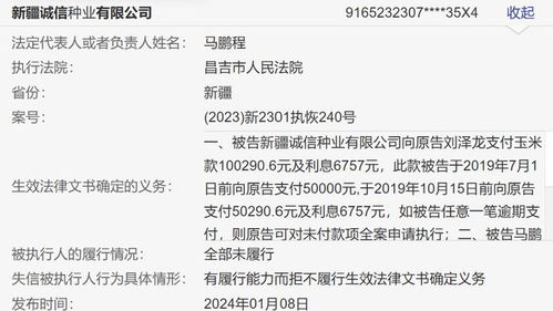 失信人员查询网上查询系统，揭开诚信缺失的面纱