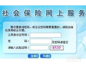 如何轻松查询上海社保卡余额，简单步骤与实用技巧