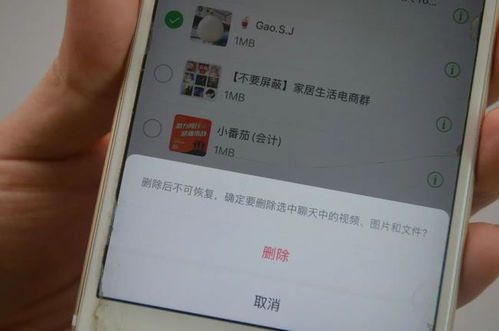 如何轻松查询上海社保卡余额，简单步骤与实用技巧