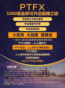 PTFX外汇最新消息，市场动态与投资策略解析