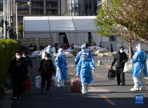 上海疫情新动态，本土确诊激增至1006例，市民生活与防控措施全解析