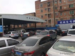 潍坊车管所违章查询，一站式服务，让车主告别违章烦恼