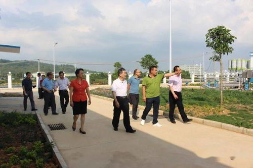 深圳市福田区公安局，守护平安的坚强后盾