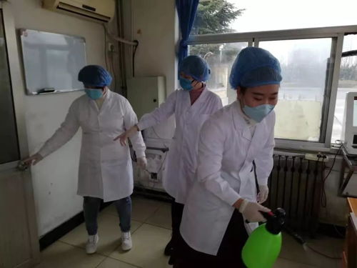 山东烟台疫情最新动态，防控措施、影响及未来展望