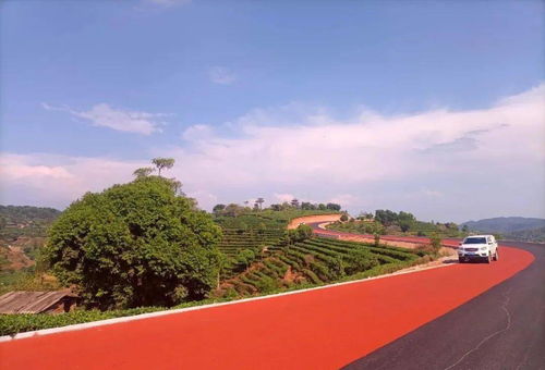 劳资负责人，桥梁与纽带，构建和谐劳动关系