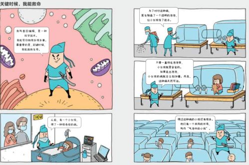 连云港核废料处理，科学、安全与未来展望