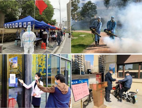 临猗县疫情新动态，了解最新公告，守护健康生活