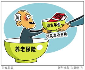 退休无忧，事业单位养老保险的守护伞