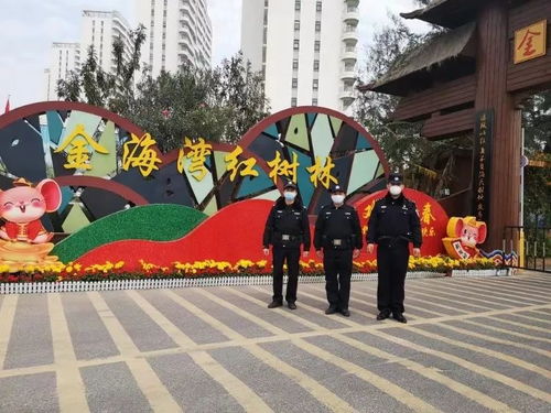 山东即墨疫情动态，今日最新进展与防控措施解析