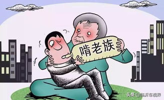 换车不换牌，节省成本与保持个人标识的明智选择