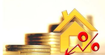 暂停新增住房贷款，稳定市场的刹车器？