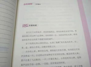 轻松告别，如何撰写一份完美辞职报告