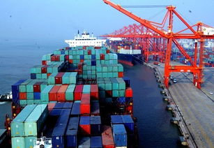 进出口贸易代理，全球市场的桥梁